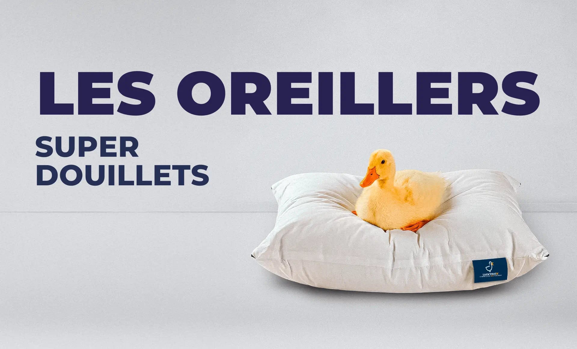 Les oreillers LuckyDuck - LuckyDuck