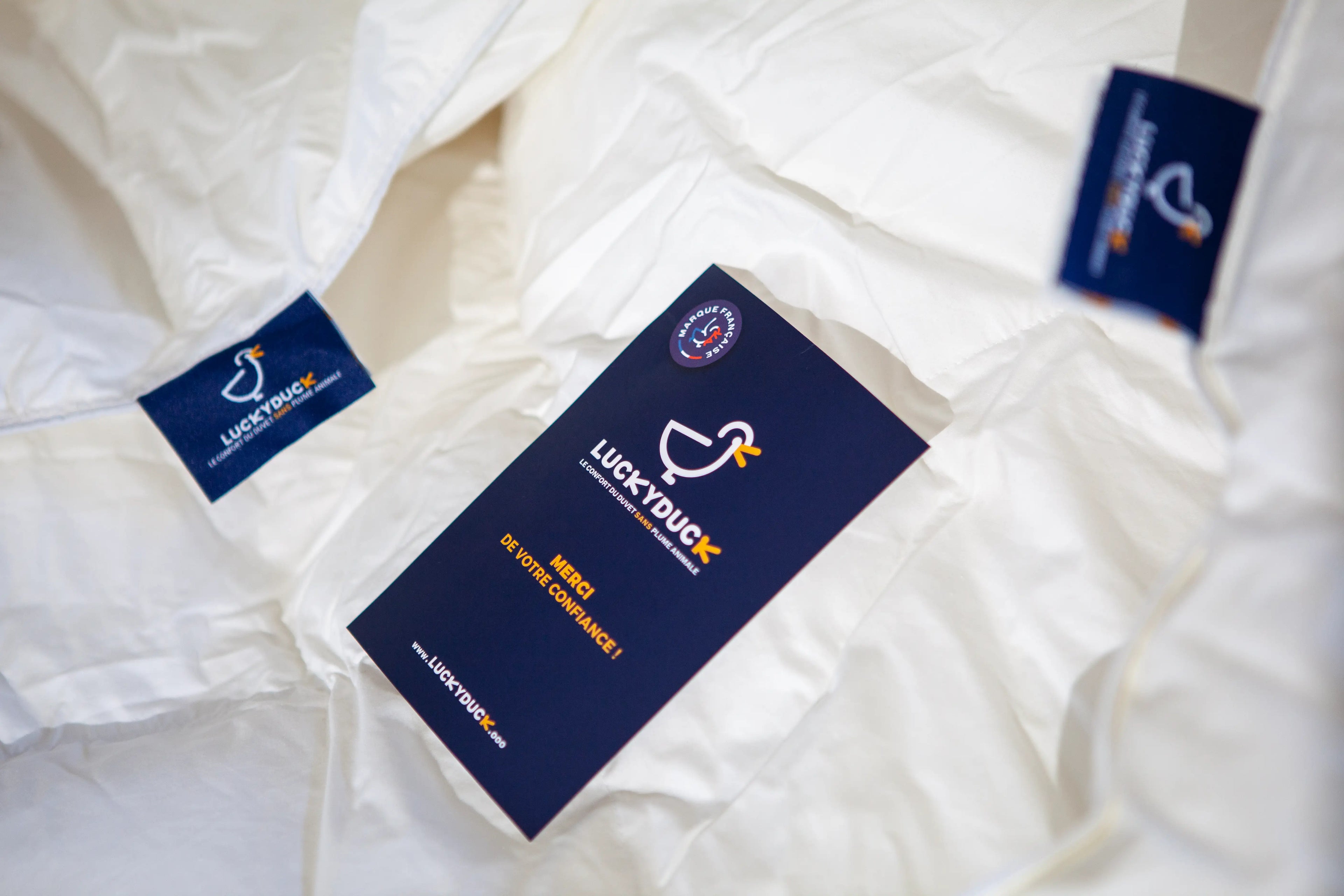 Couette Chaude iLOFT 500g