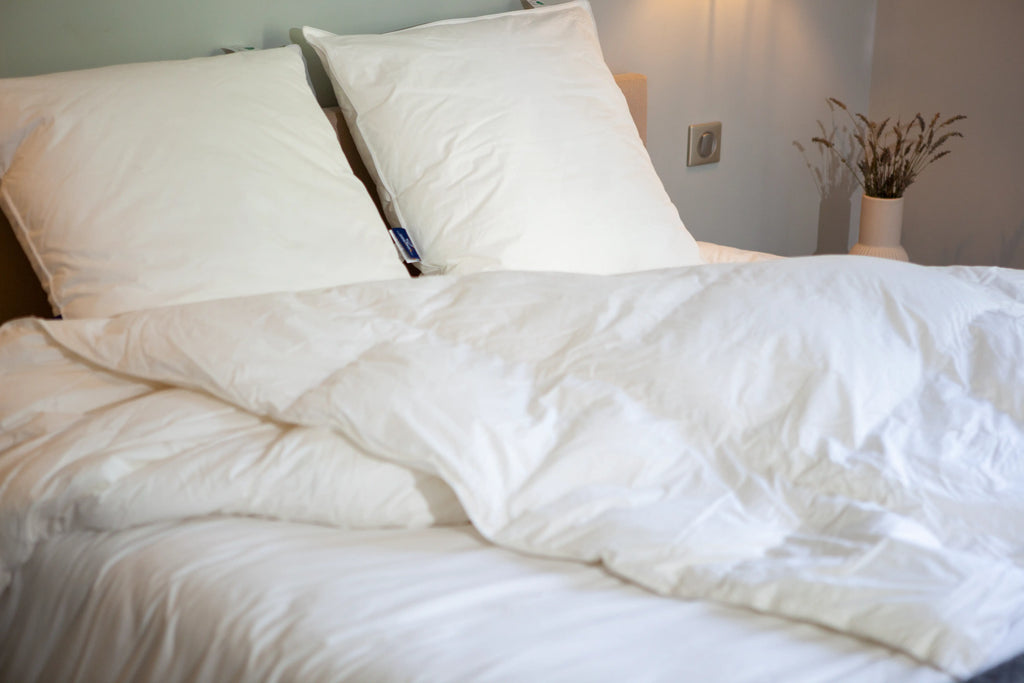 Couette Légère iLOFT 200g