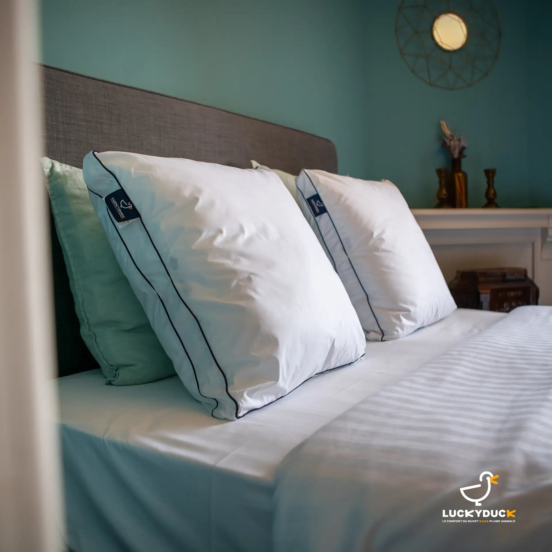 Oreiller Confort Duo