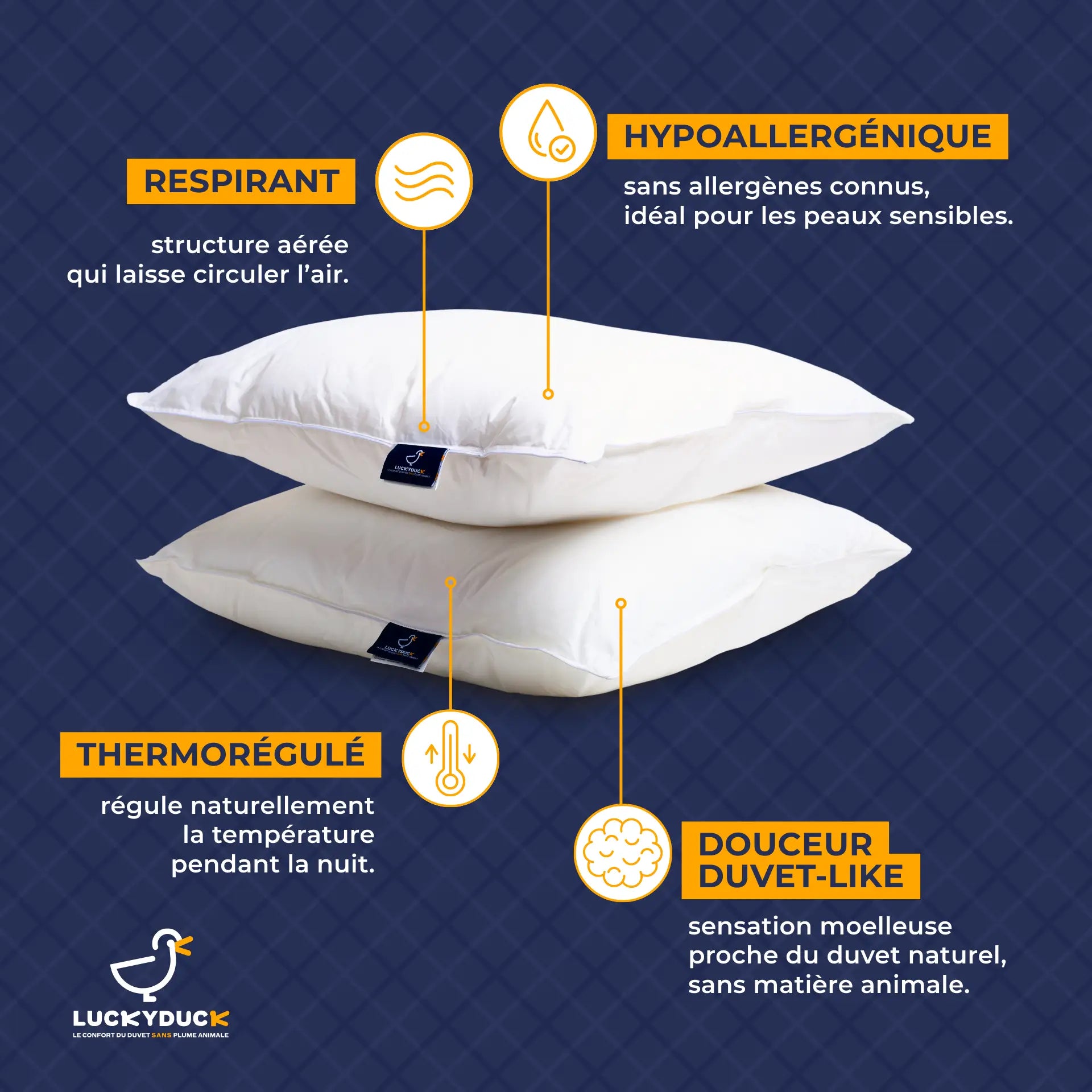 2 oreillers Confort Équilibré