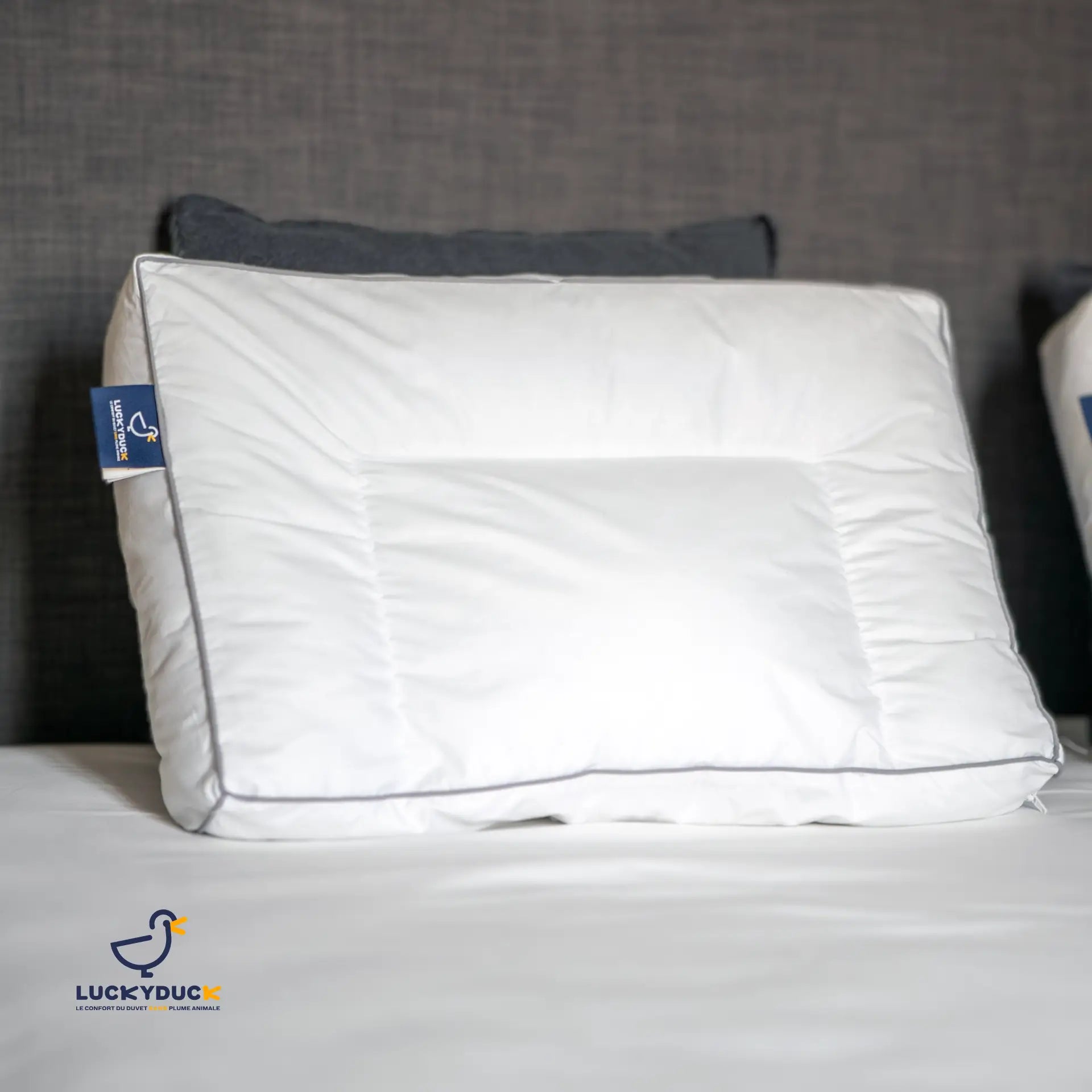 Oreiller Confort Plus