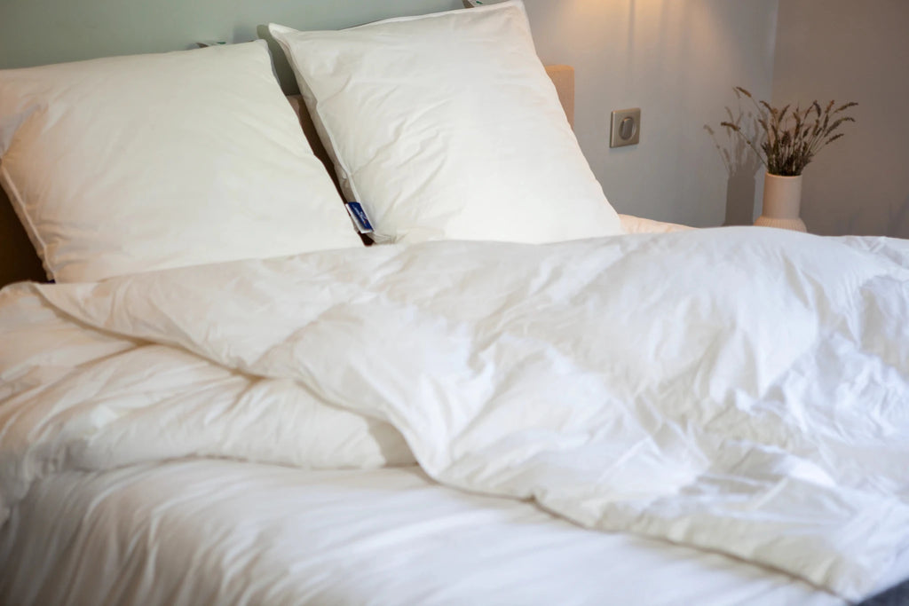 Couette Légère iLOFT 200g - LuckyDuck