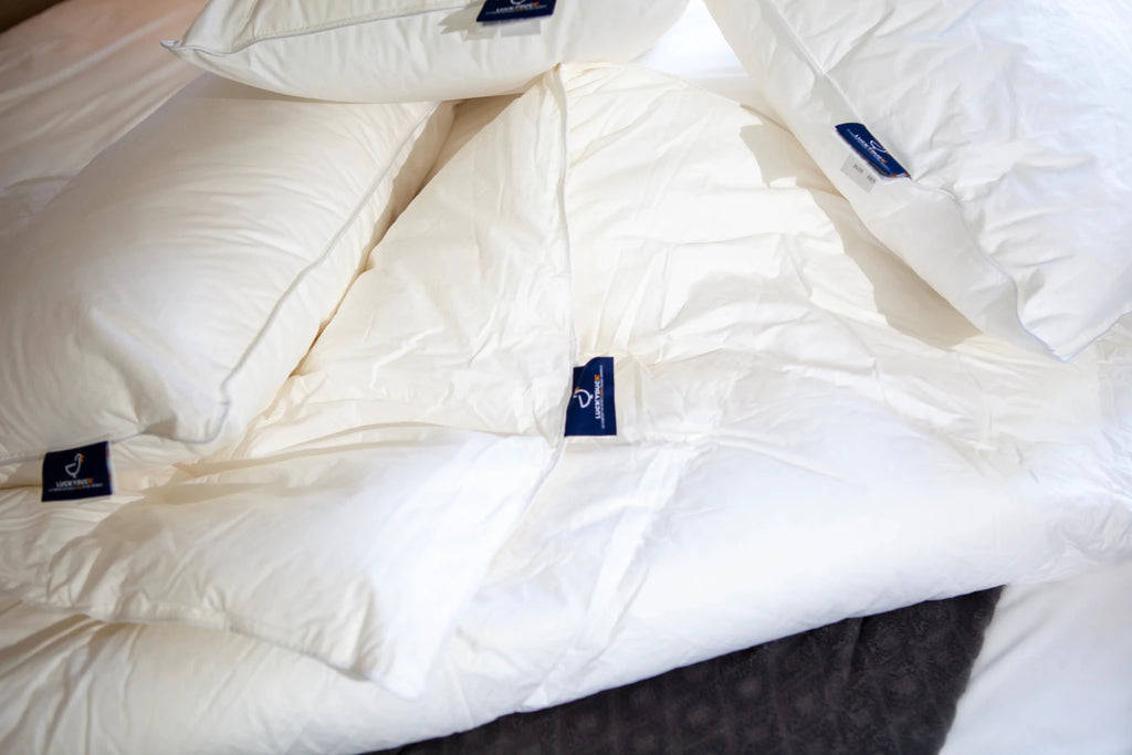 Couette Medium iLOFT 350g - LuckyDuck