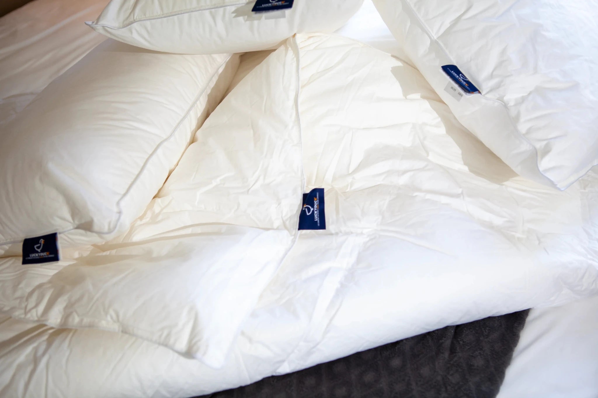 Couette Medium iLOFT 350g - LuckyDuck