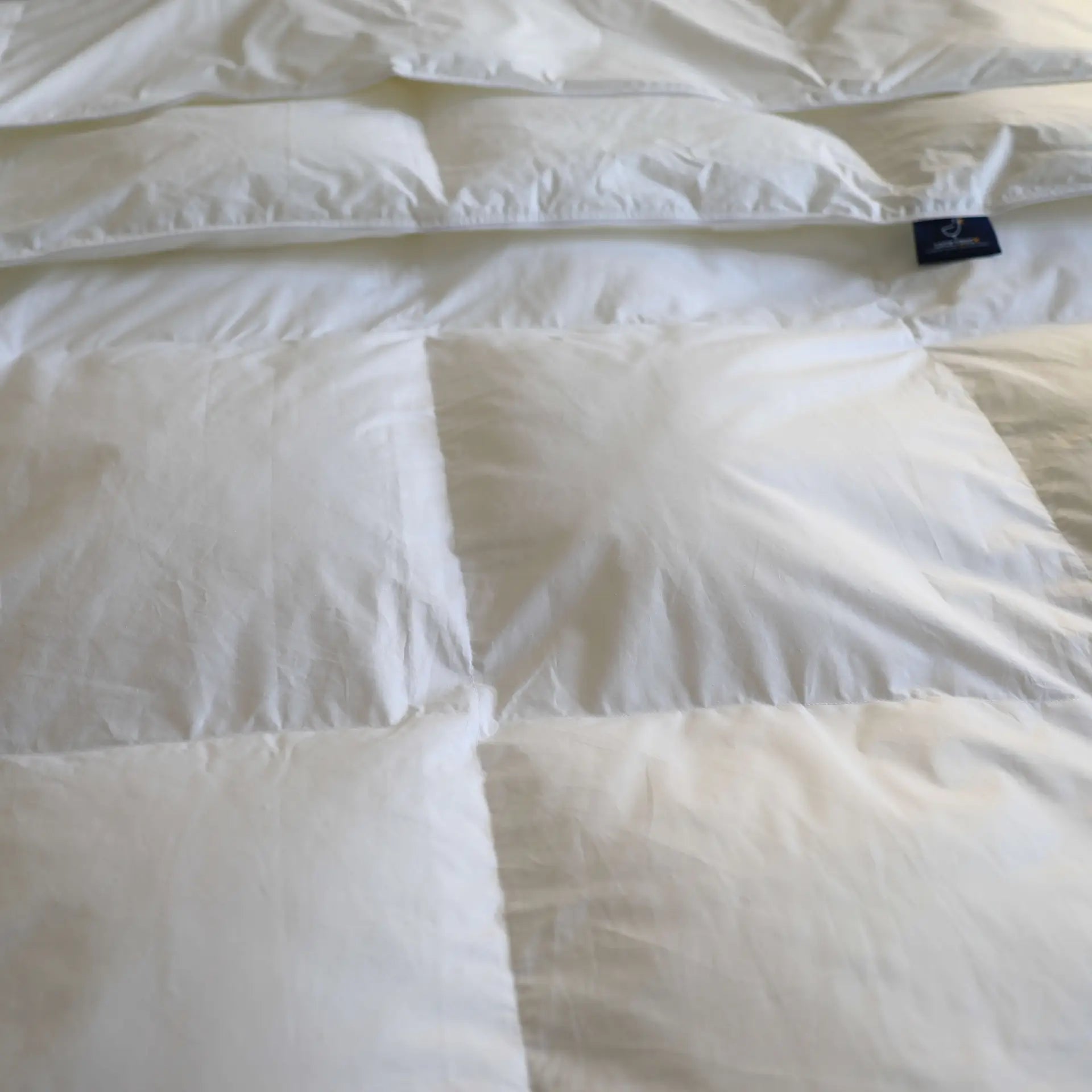 Couette Toutes Saisons iLOFT 575g - LuckyDuck