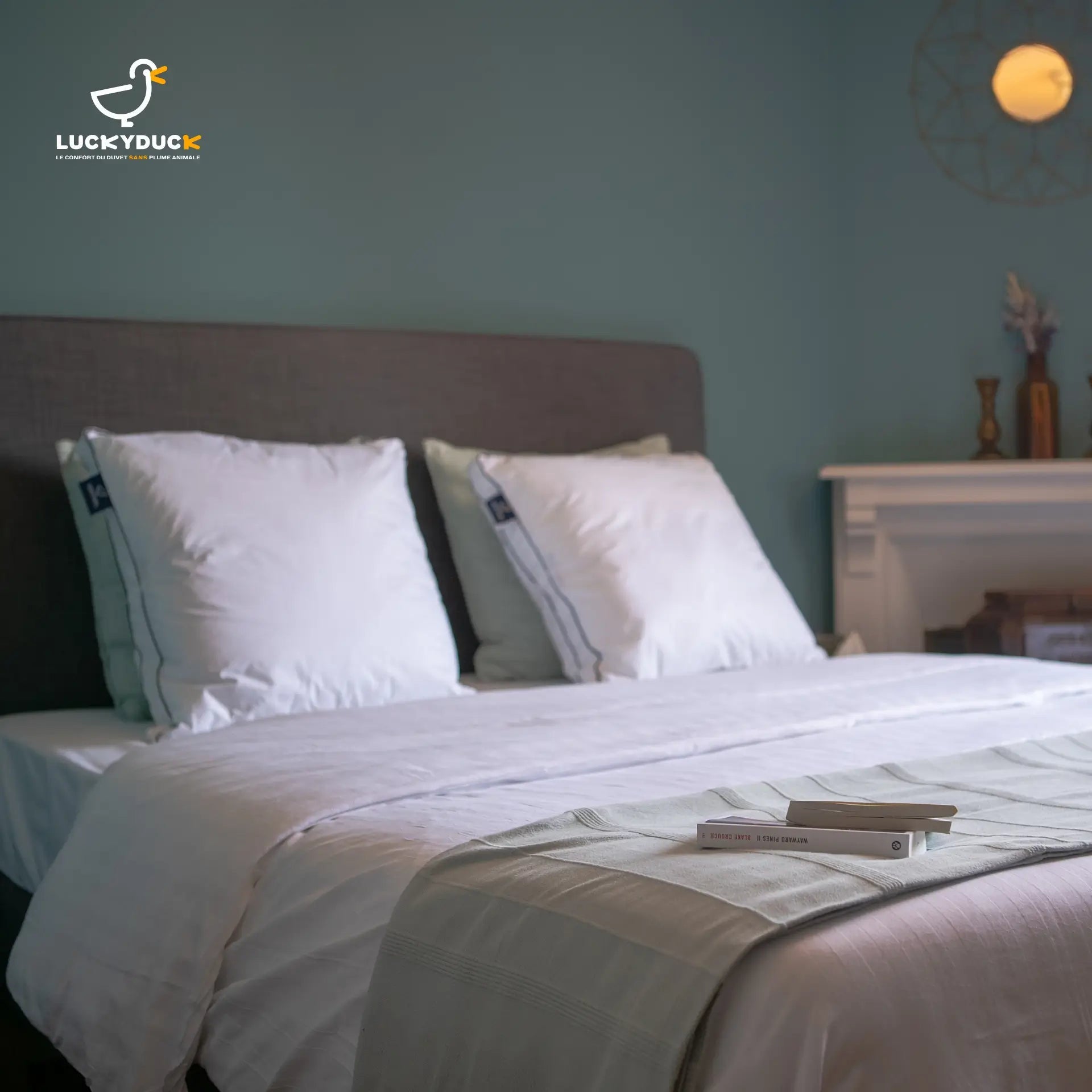 Oreiller Confort Duo - LuckyDuck