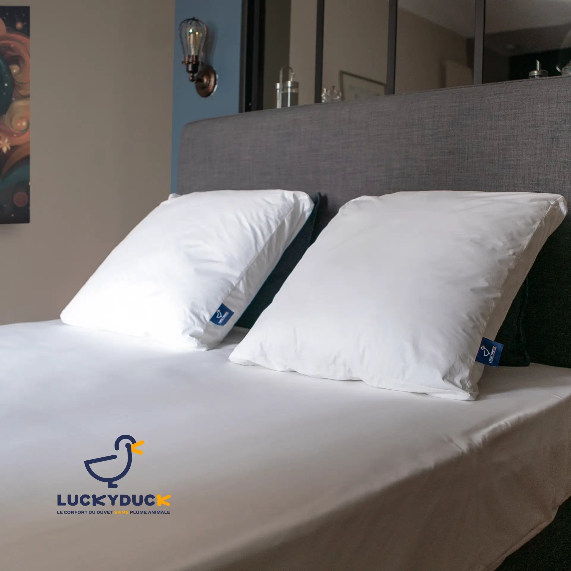 Oreiller Confort Ferme - LuckyDuck