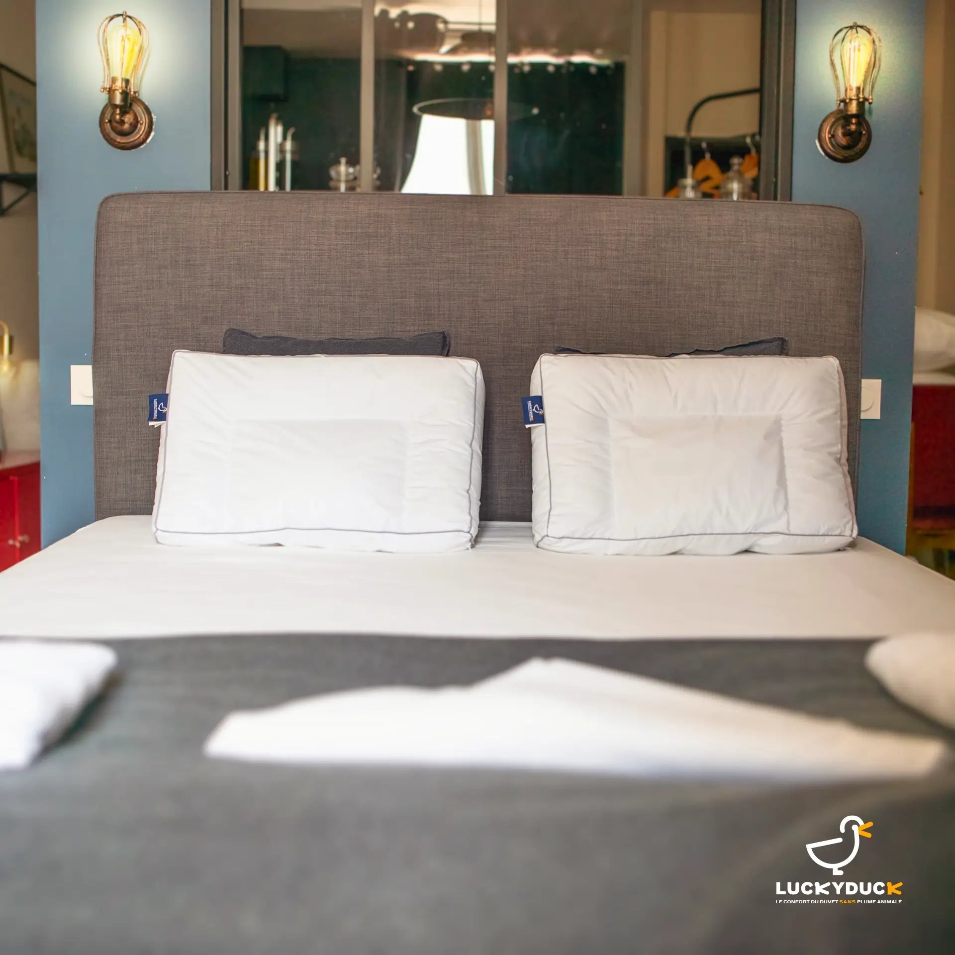 Oreiller Confort Plus - LuckyDuck