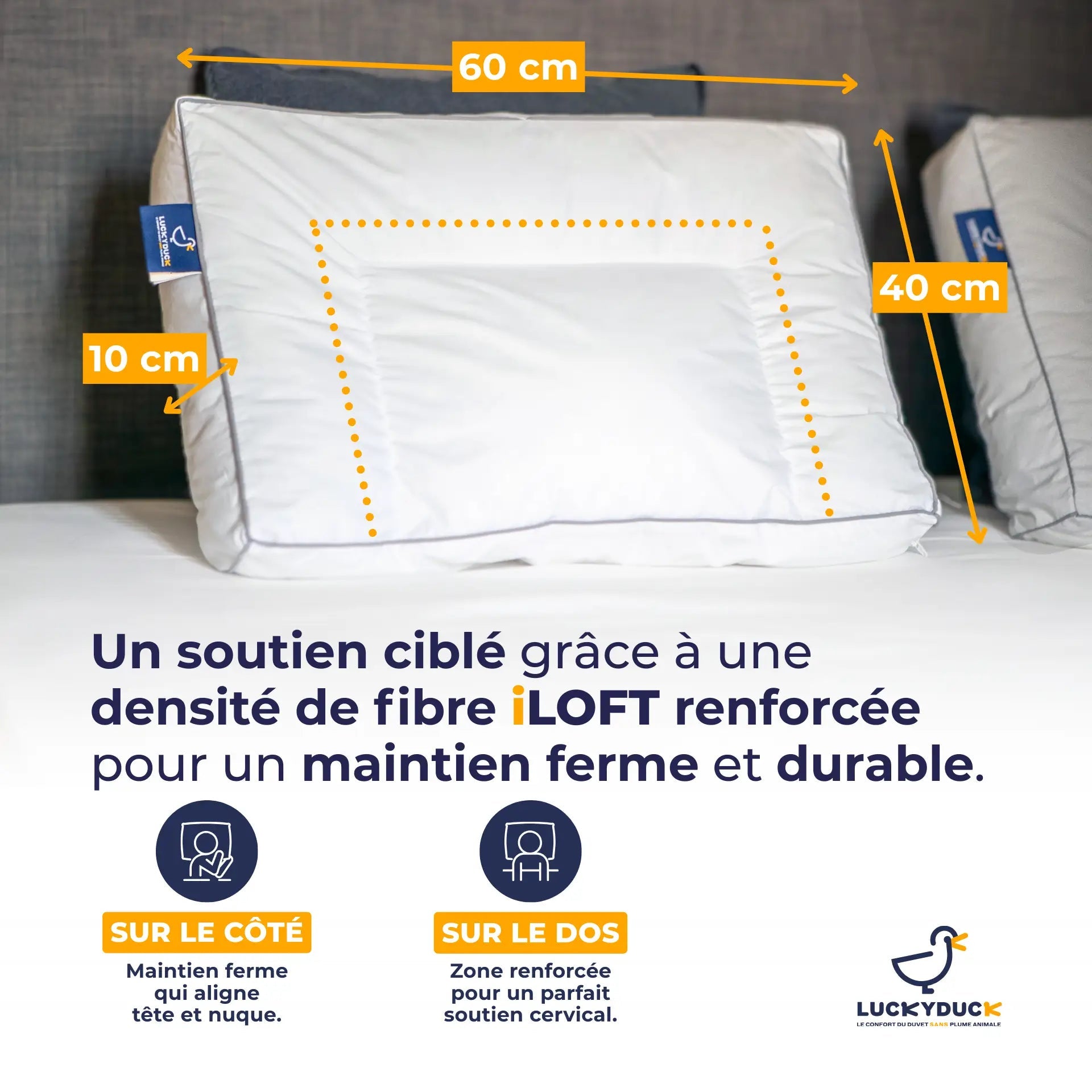 Oreiller Confort Plus - LuckyDuck