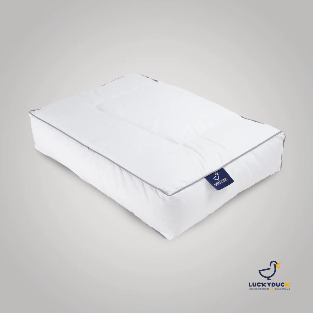 Oreiller Confort Plus - LuckyDuck