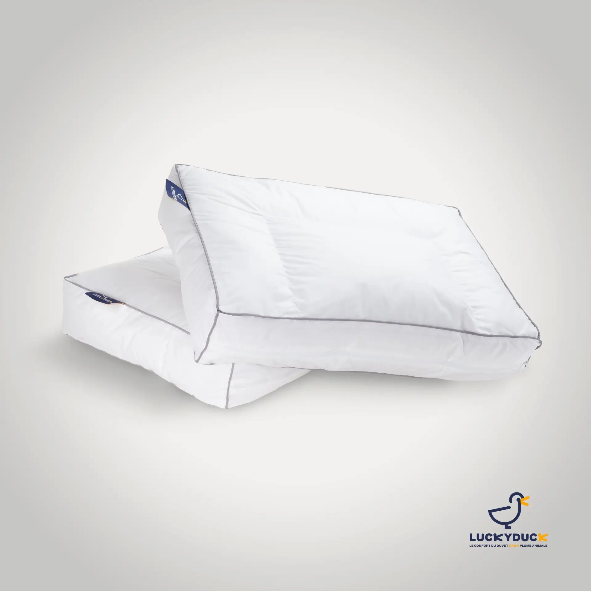 Oreiller Confort Plus - LuckyDuck
